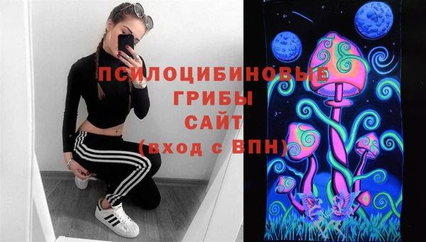 СК Алексин
