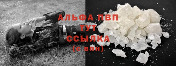 СК Алексин