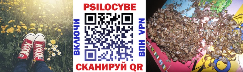 это состав  Алексеевка  кракен как зайти  Галлюциногенные грибы Psilocybe  магазин   